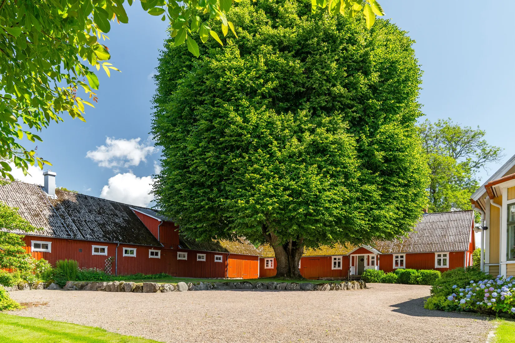 Gård/Skog, Boarpsvägen 271, Bjäre, Ängelholm