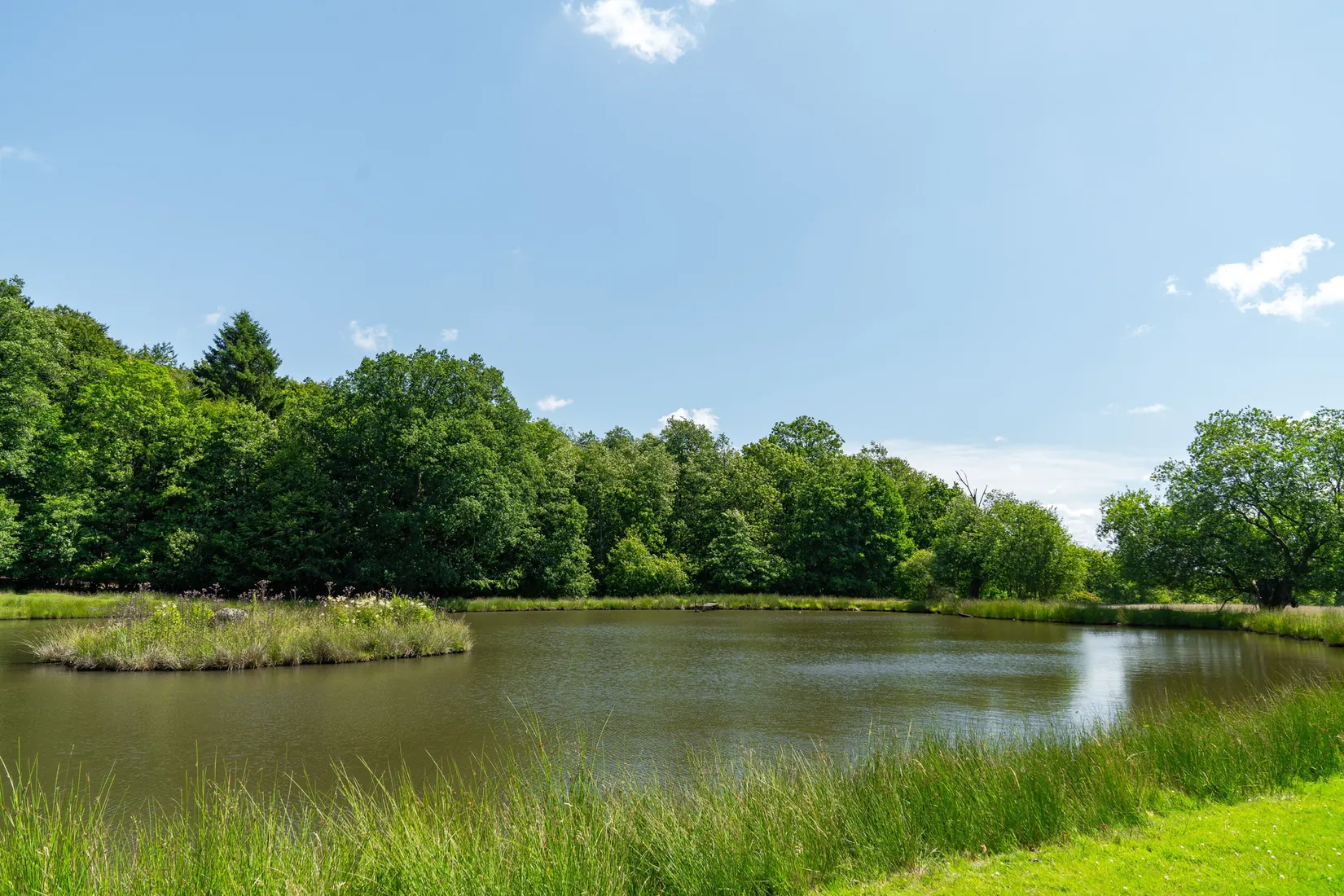 Gård/Skog, Boarpsvägen 271, Bjäre, Ängelholm