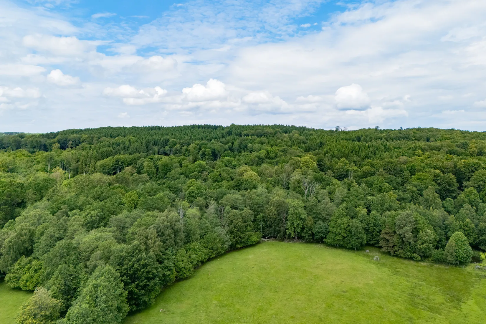 Gård/Skog, Boarpsvägen 271, Bjäre, Ängelholm