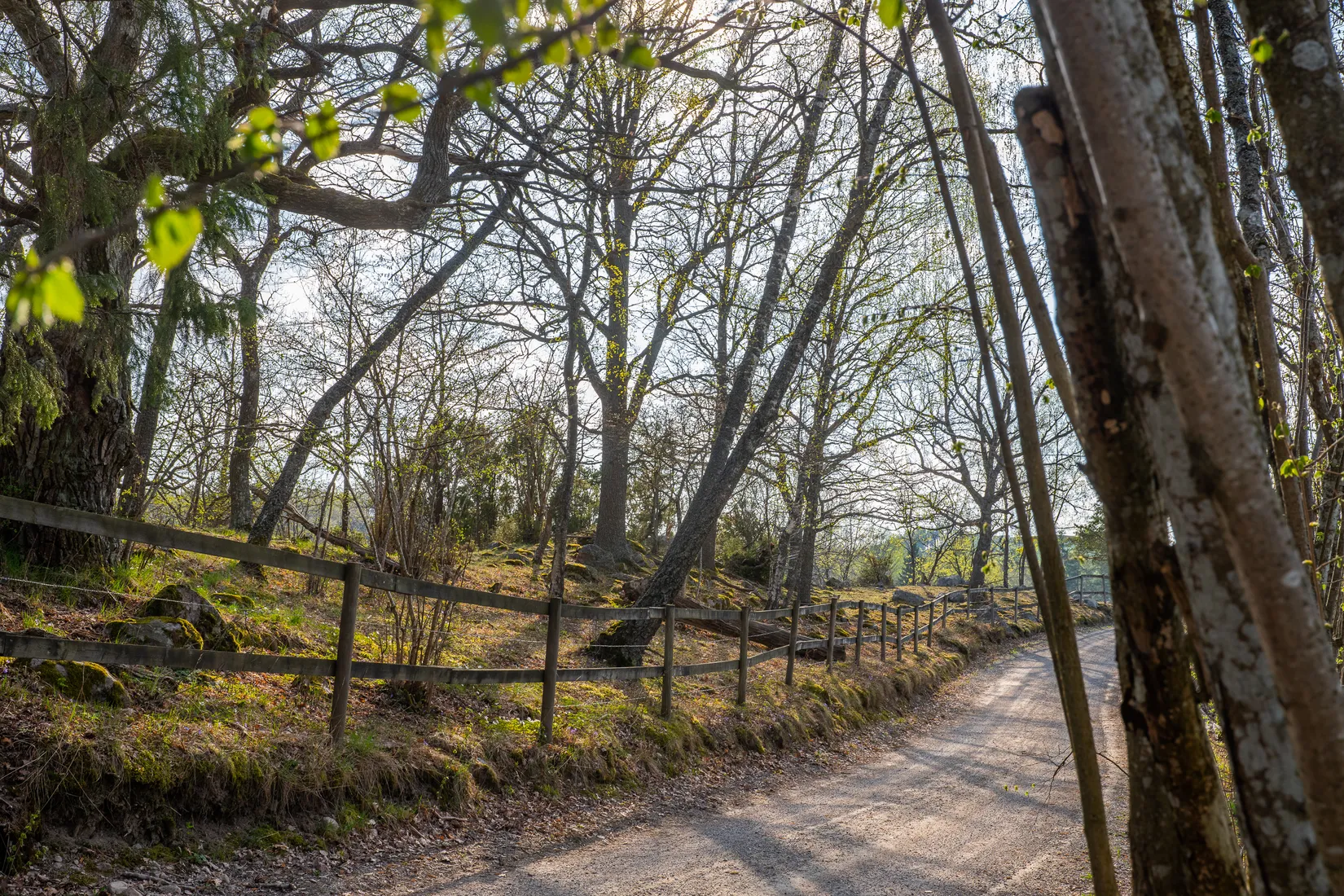 Radhus, Väsjöpromenaden 18, Sollentuna