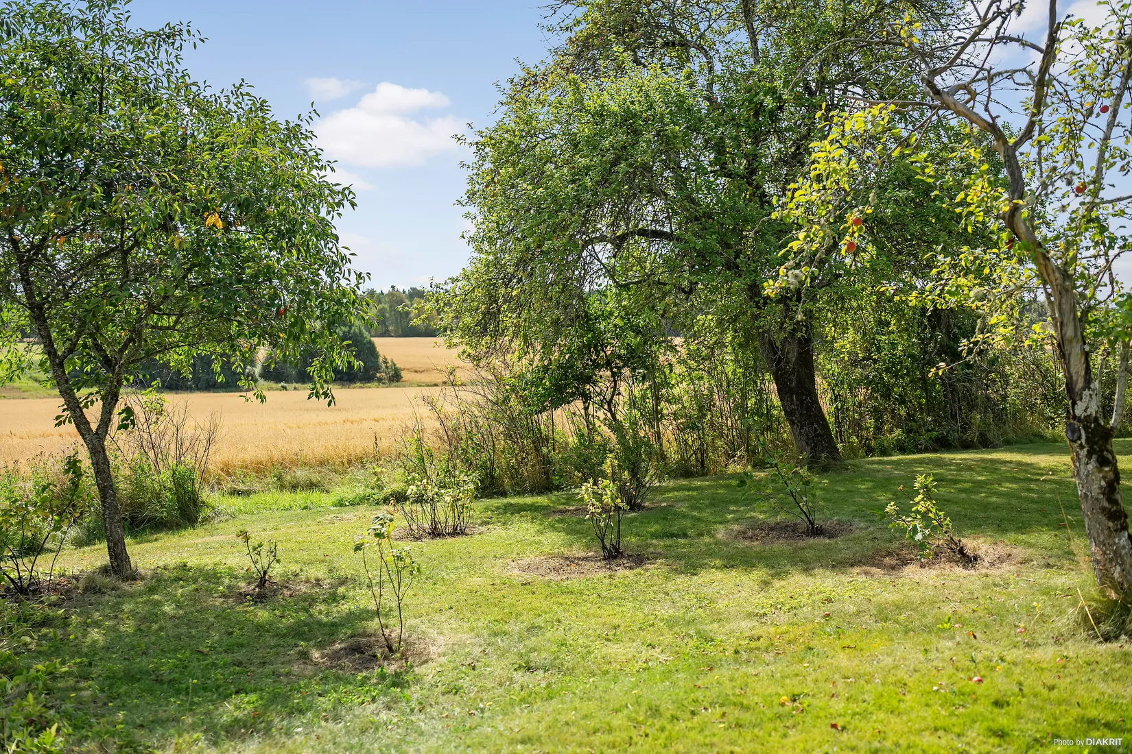 Gård/Skog, Gennevedsvägen 49, Alingsås