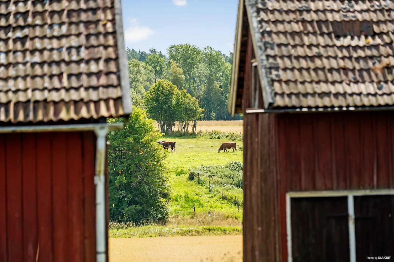 Gård/Skog, Gennevedsvägen 49, Alingsås