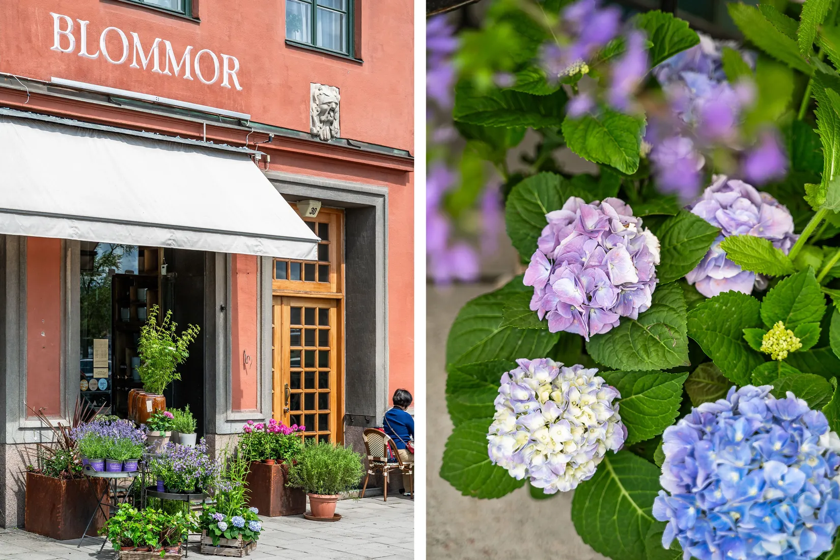 Bostadsrätt, Södra Agnegatan 26, 2 tr, Kungsholmen Nedre, Stockholm