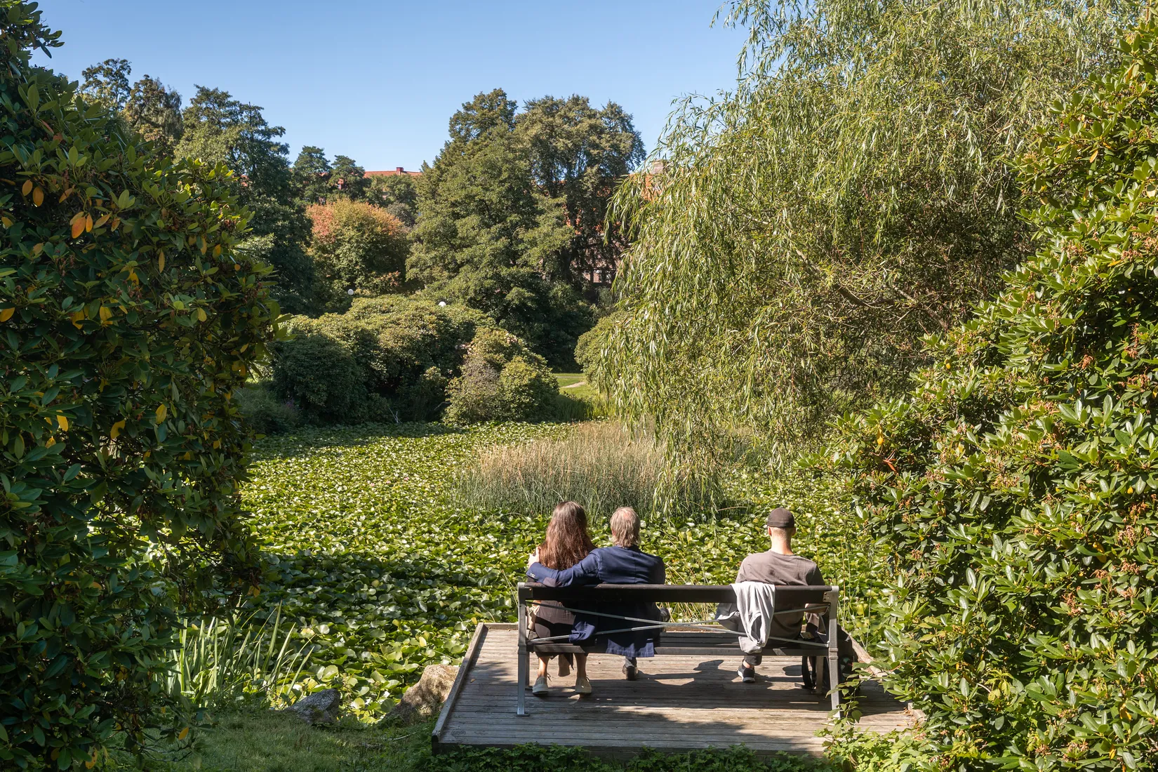 Bostadsrätt, Eklandagatan 41C, Johanneberg, Göteborg