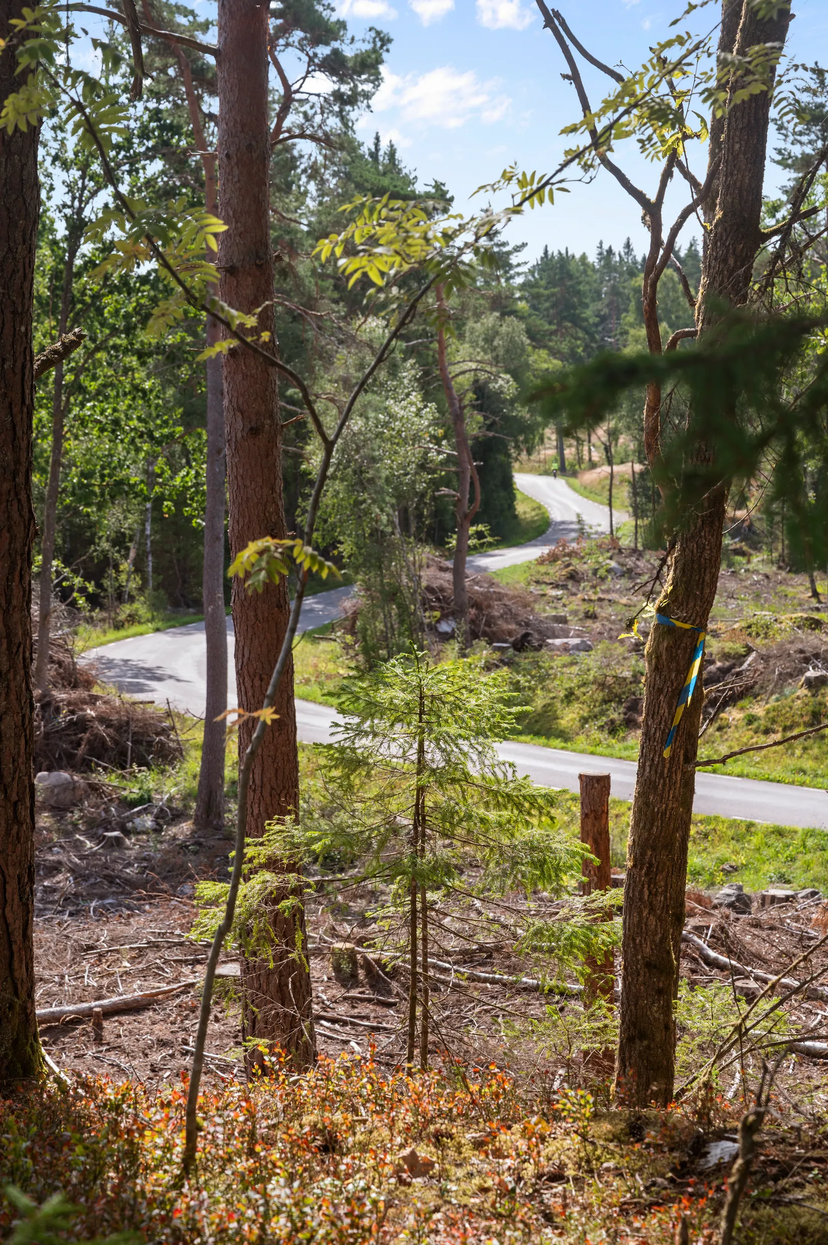 Fritidshus, Skölvene Knallen 1, Skölvene, Herrljunga