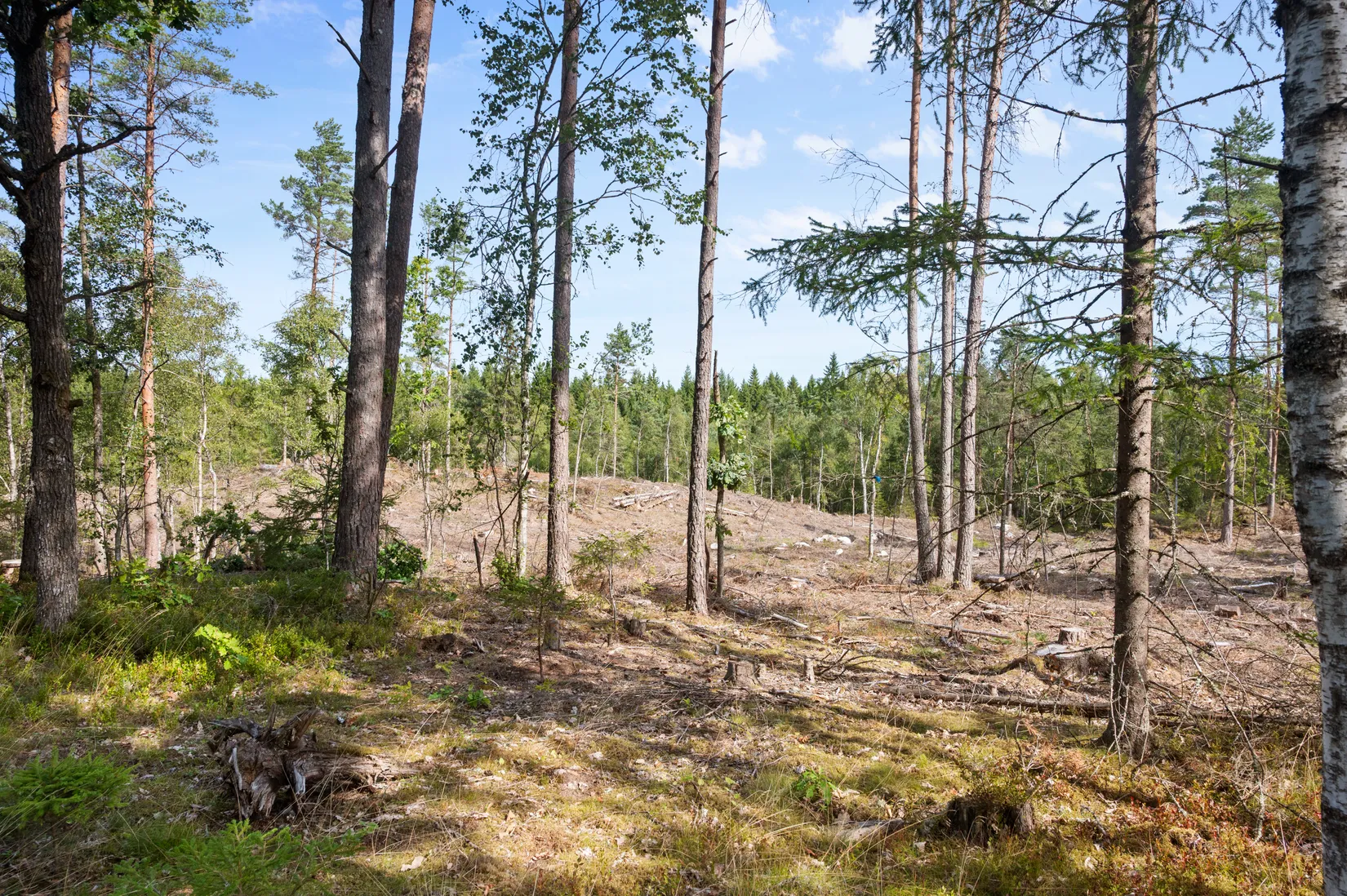 Fritidshus, Skölvene Knallen 1, Skölvene, Herrljunga