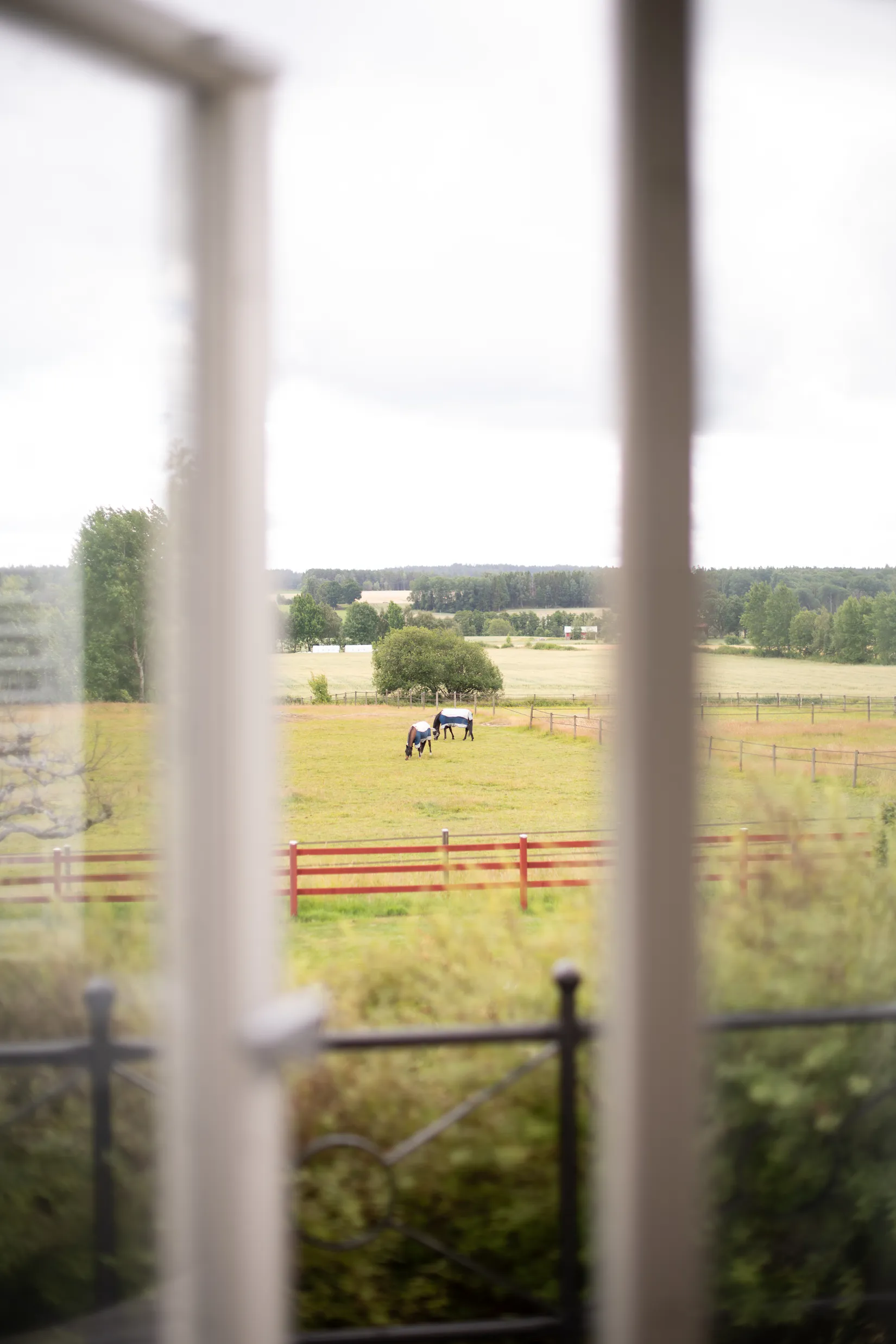 Gård/Skog, Vittene Torpet 1, Vittene, Vårgårda