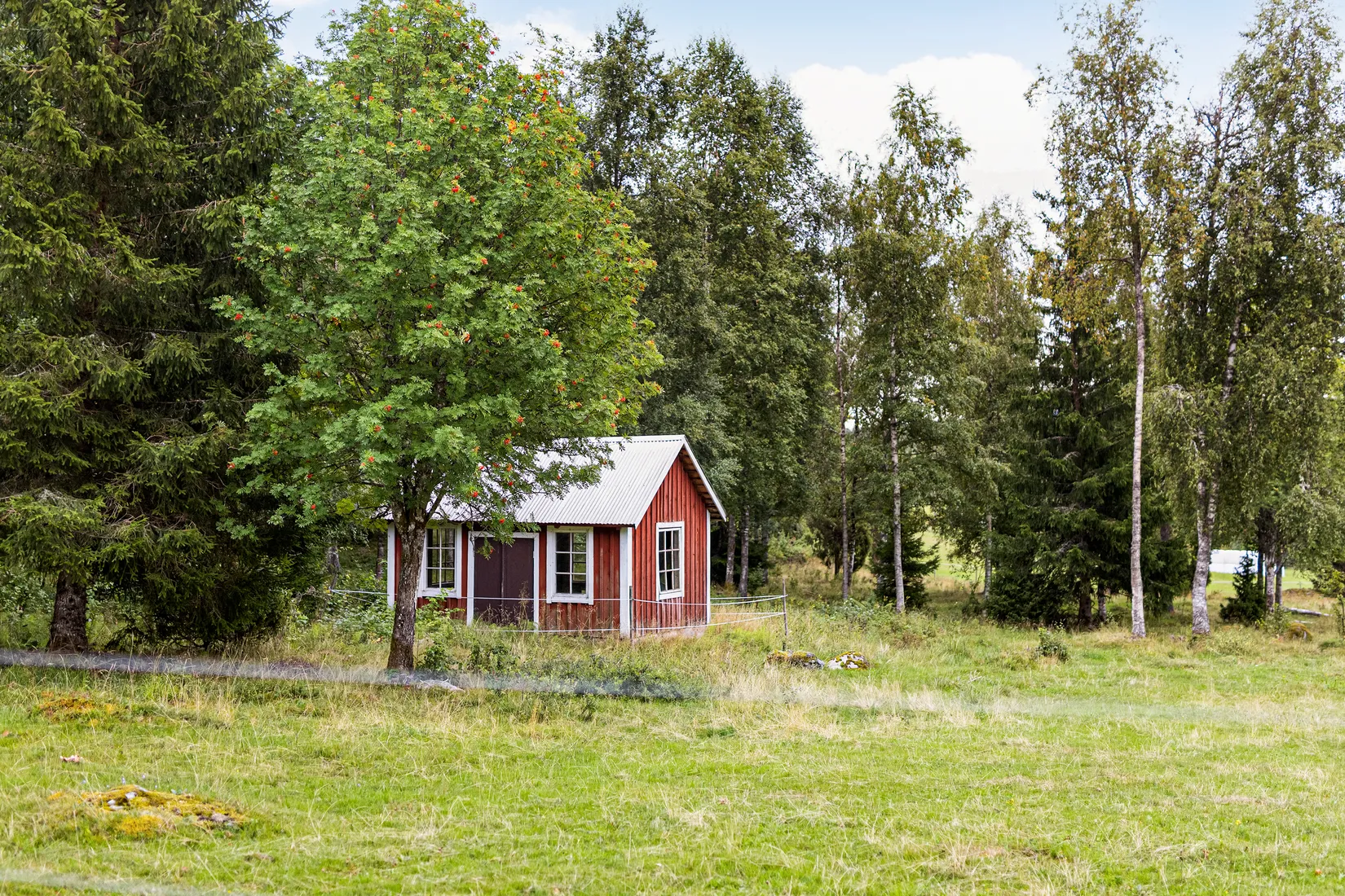 Gård/Skog,  Nedre mellangård 1, Skillingaryd, Vaggeryd