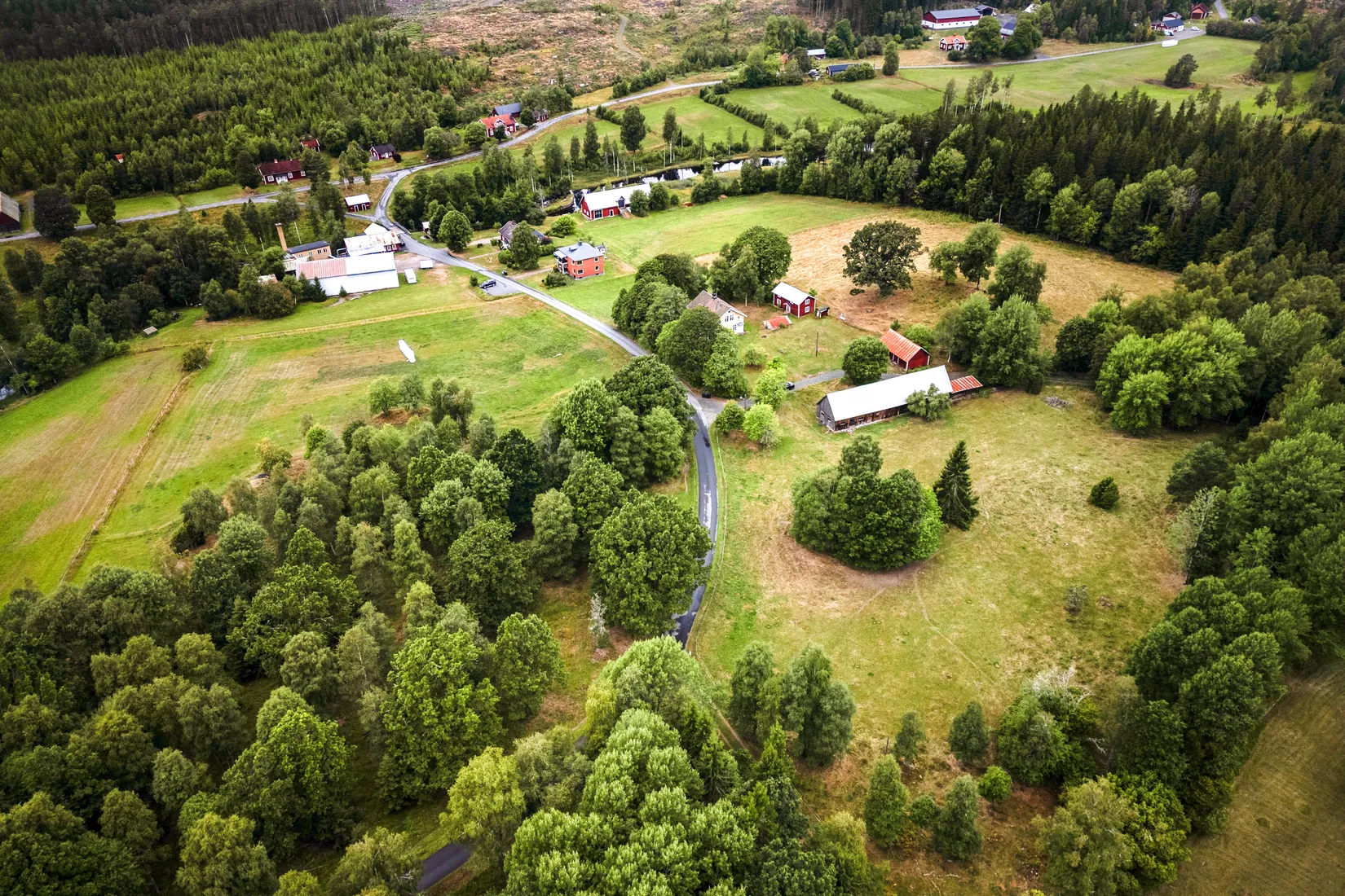 Gård/Skog,  Nedre mellangård 1, Skillingaryd, Vaggeryd