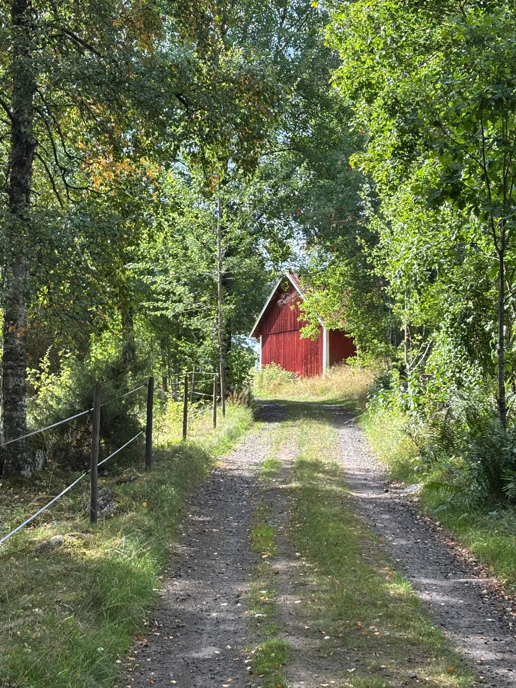 Gård/Skog,  Nedre mellangård 1, Skillingaryd, Vaggeryd