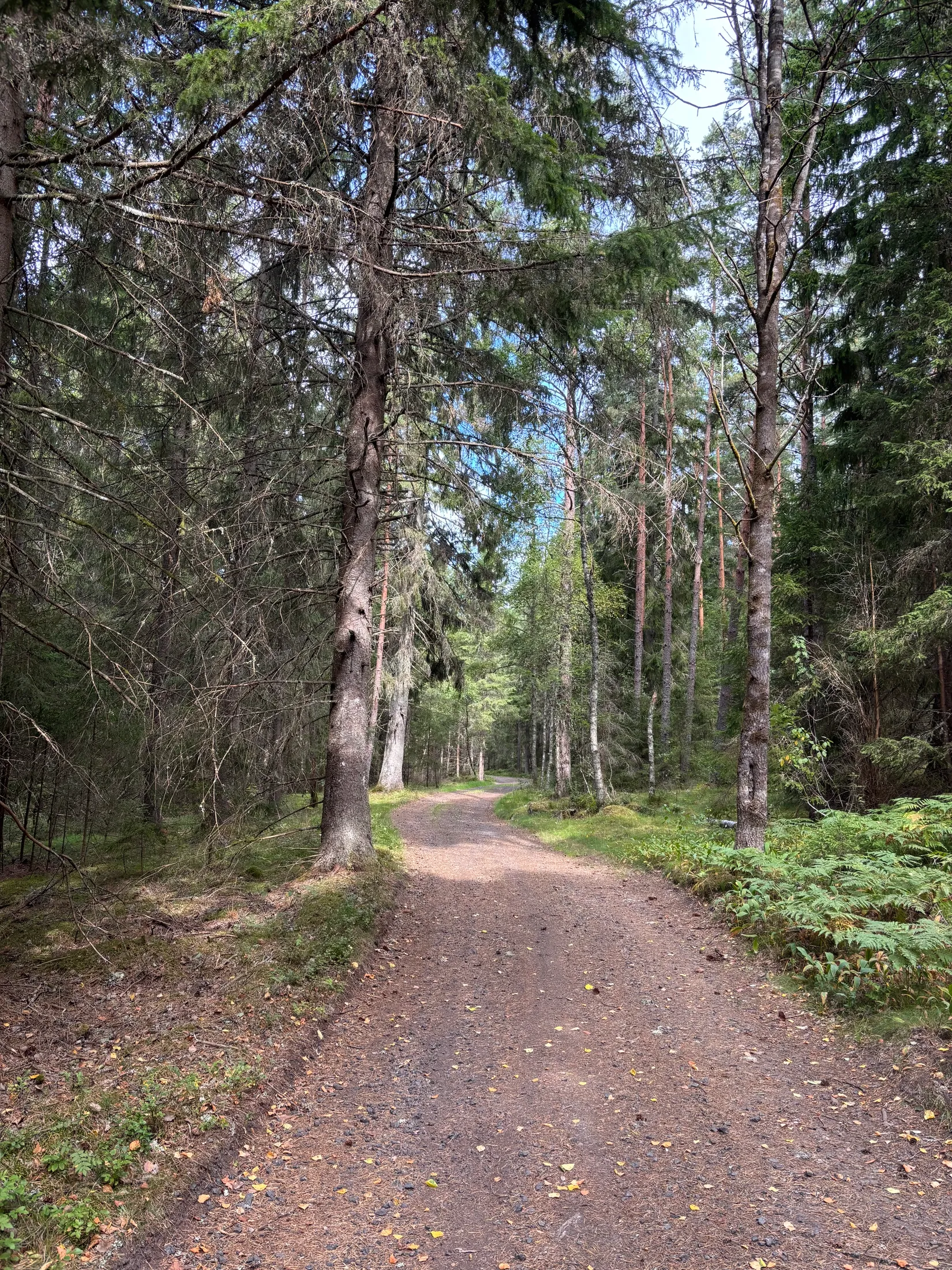 Gård/Skog,  Nedre mellangård 1, Skillingaryd, Vaggeryd