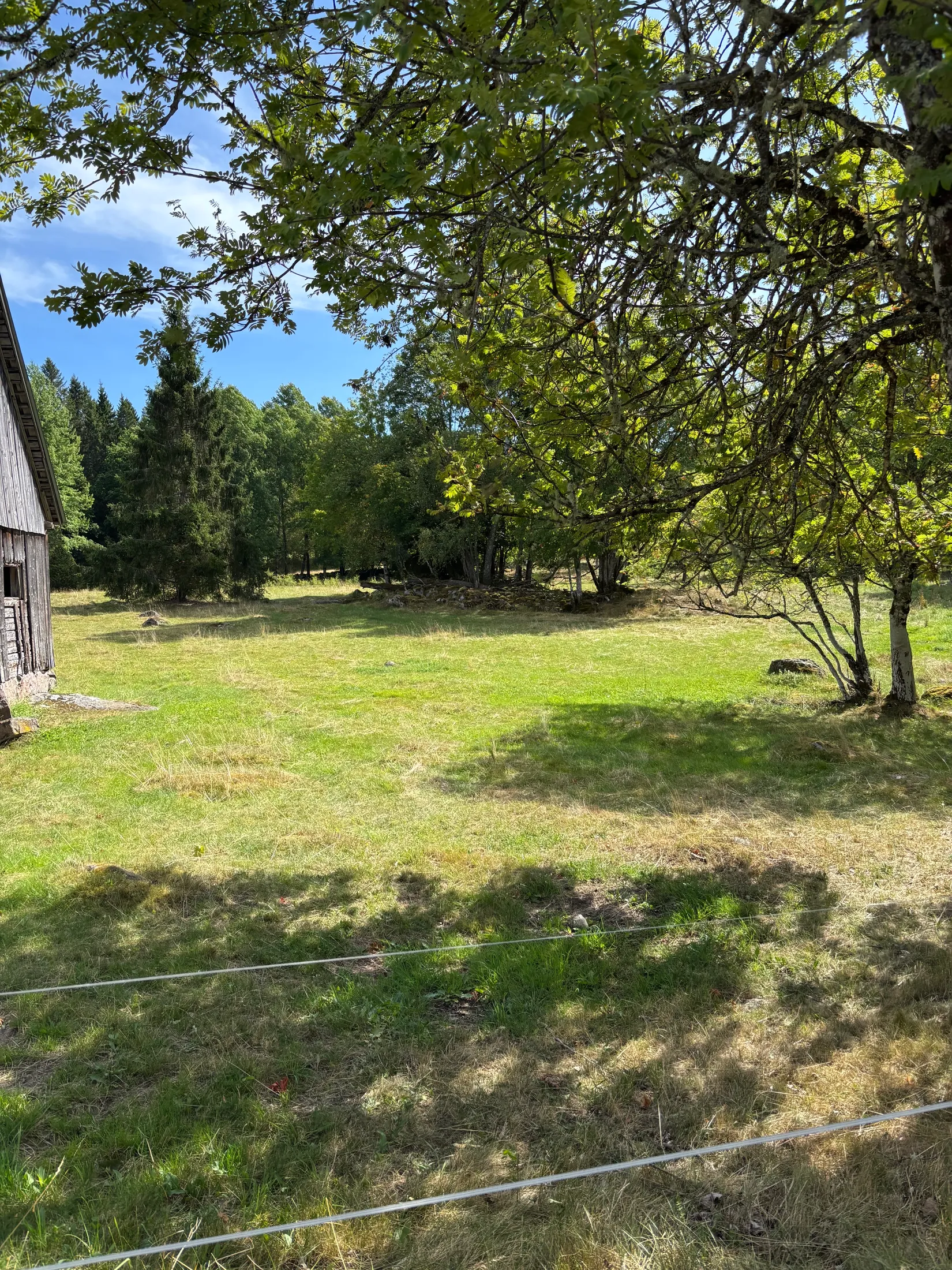 Gård/Skog,  Nedre mellangård 1, Skillingaryd, Vaggeryd