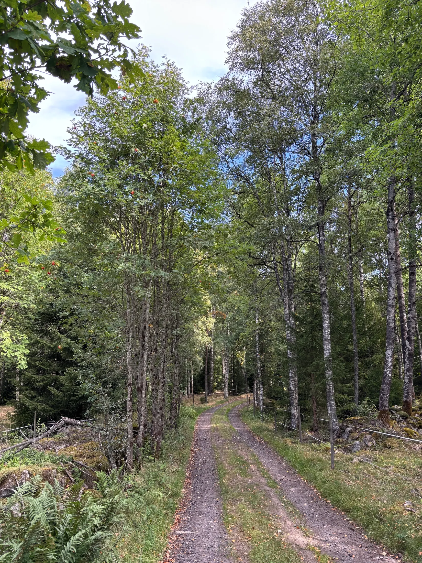 Gård/Skog,  Nedre mellangård 1, Skillingaryd, Vaggeryd
