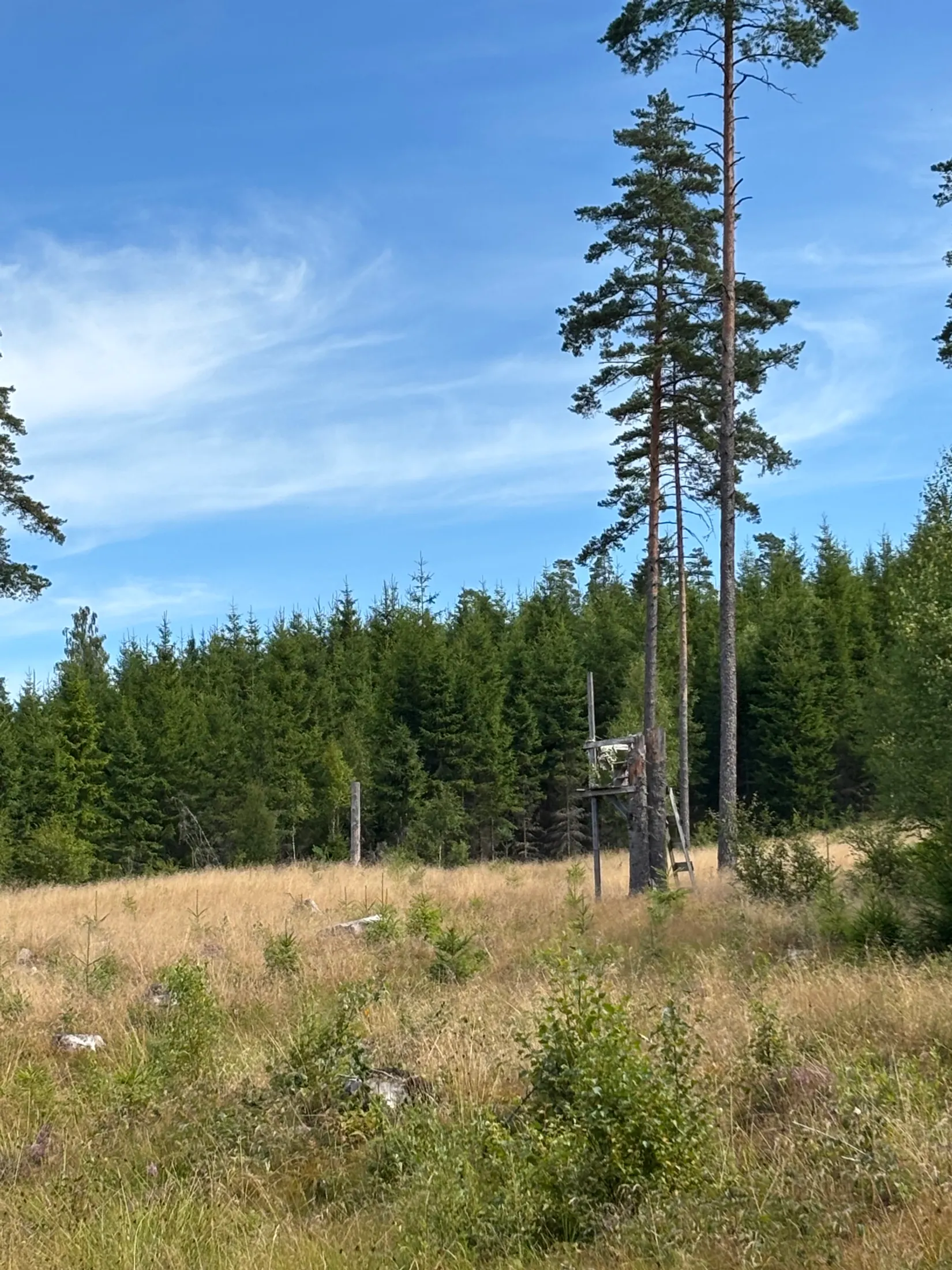Gård/Skog,  Nedre mellangård 1, Skillingaryd, Vaggeryd
