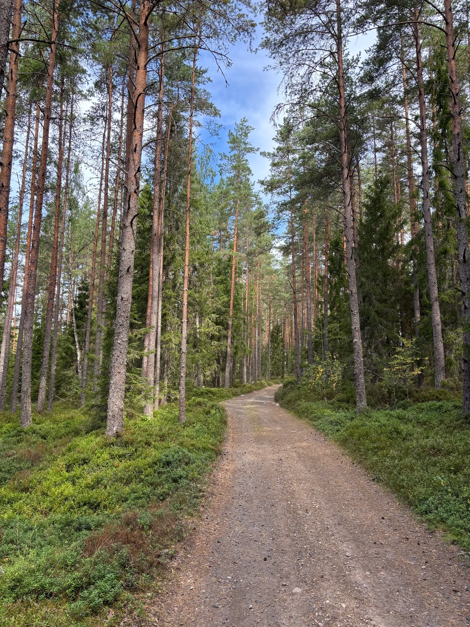 Gård/Skog,  Nedre mellangård 1, Skillingaryd, Vaggeryd