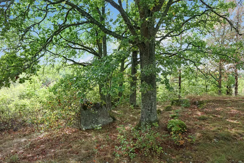 Fritidshus, Oppeby Väsby ekbacken, Kisa, Kinda