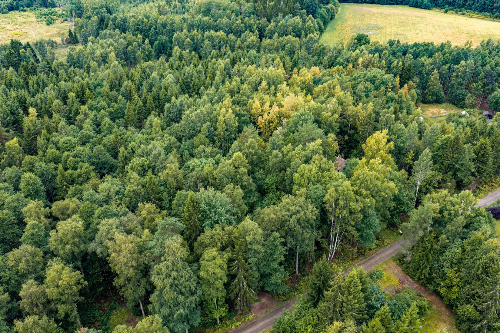 Tomt, Tallkottestigen 8, Motala