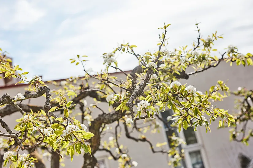 Bostadsrätt, Odengatan 22, Gamla Kålgården, Jönköping