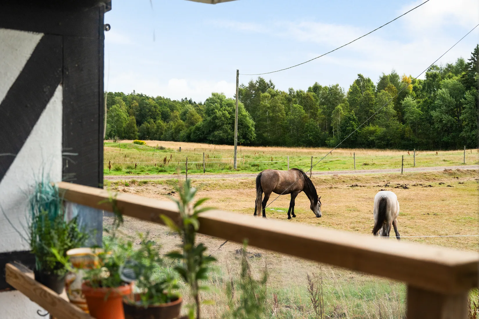 Gård/Skog, Aggarpsvägen 260, Aggarp, Ängelholm