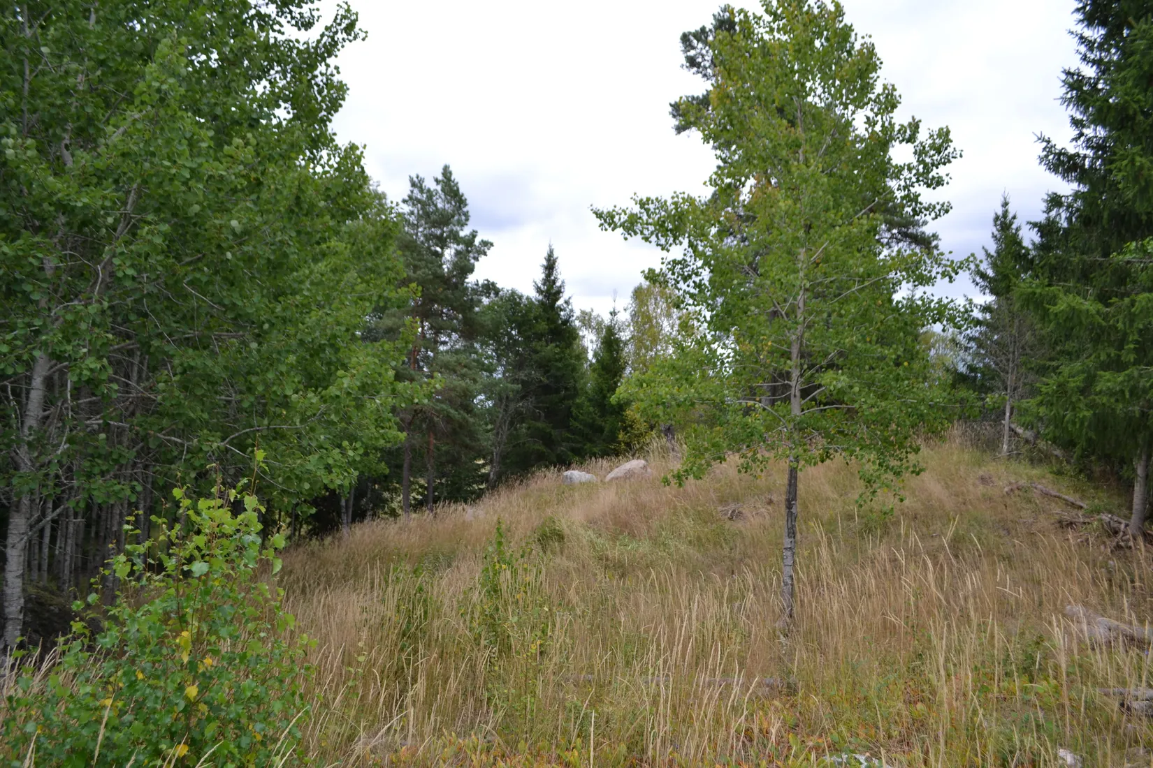 Tomt, Allemoravägen 11C, Riala - Allemora, Norrtälje