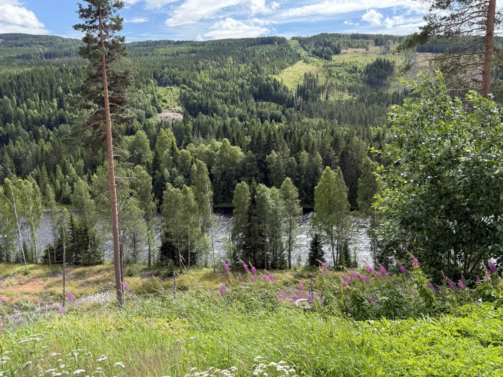 Villa, Brattmon 2, Brattmon, Torsby