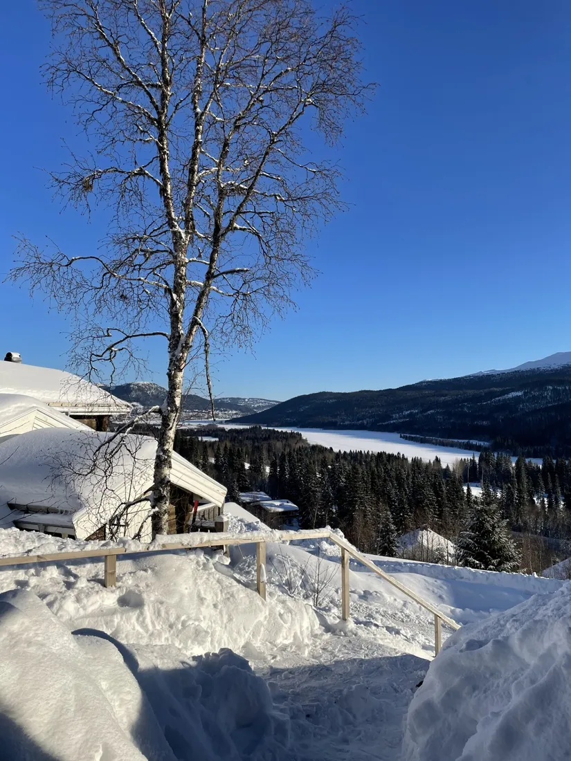 Bostadsrätt, Tegefjäll Smultronet 23B, Tegefjäll, Åre