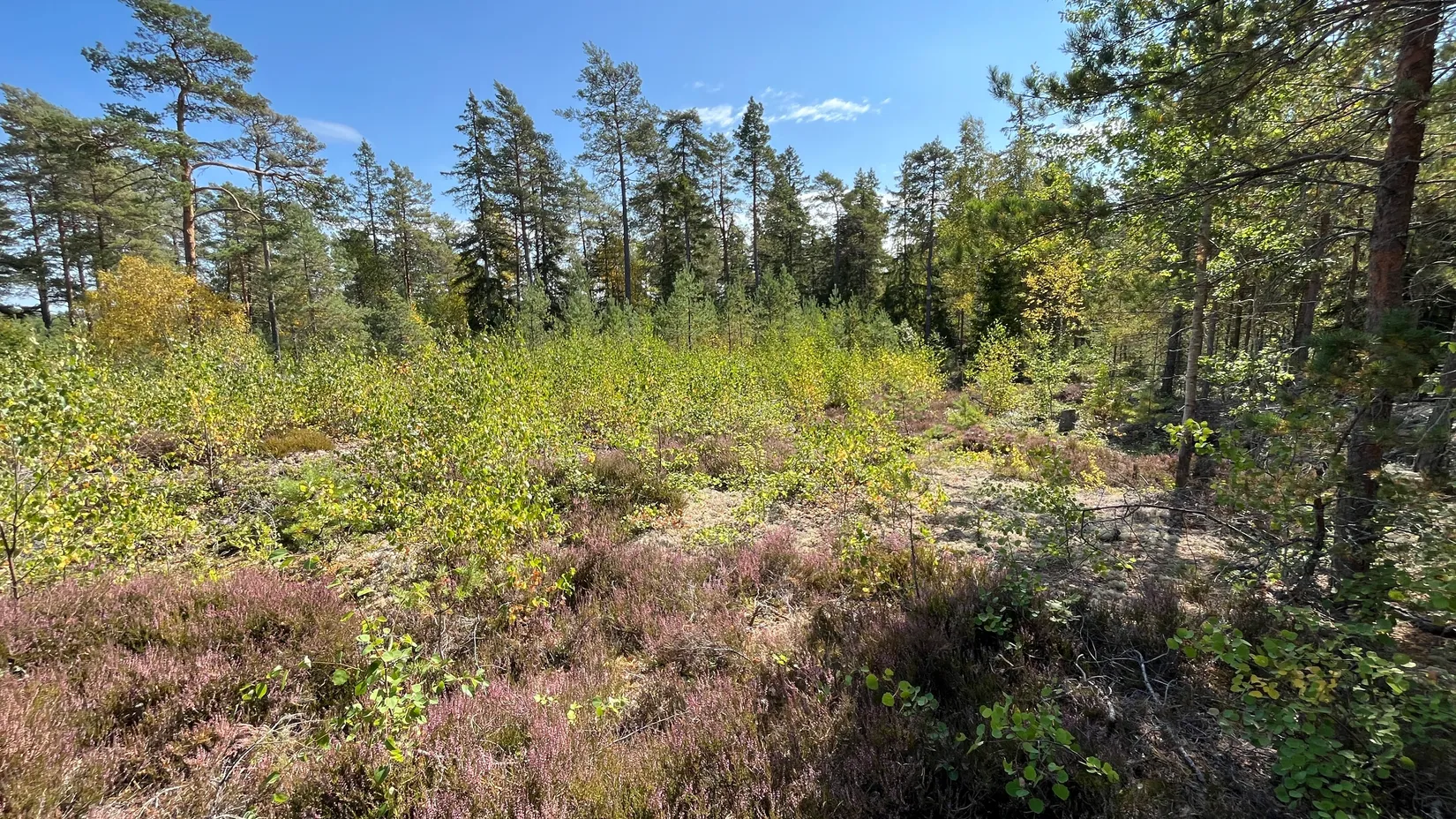 Tomt, Ösby 110, Brottby Ösby, Vallentuna