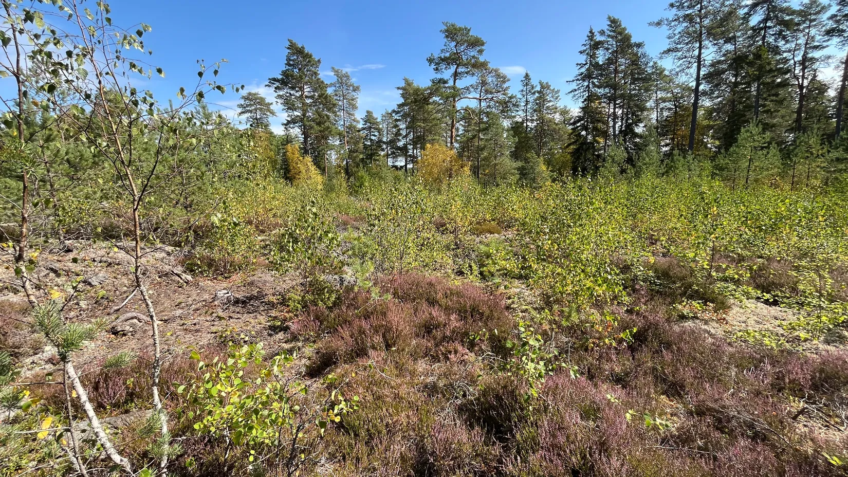Tomt, Ösby 110, Brottby Ösby, Vallentuna