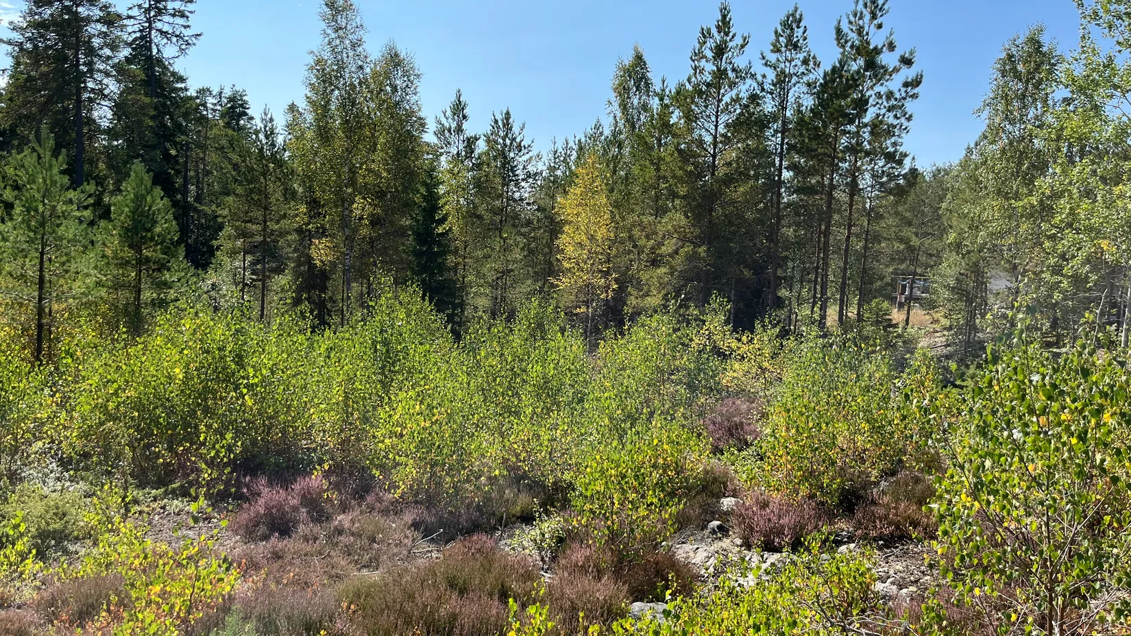 Tomt, Ösby 110, Brottby Ösby, Vallentuna
