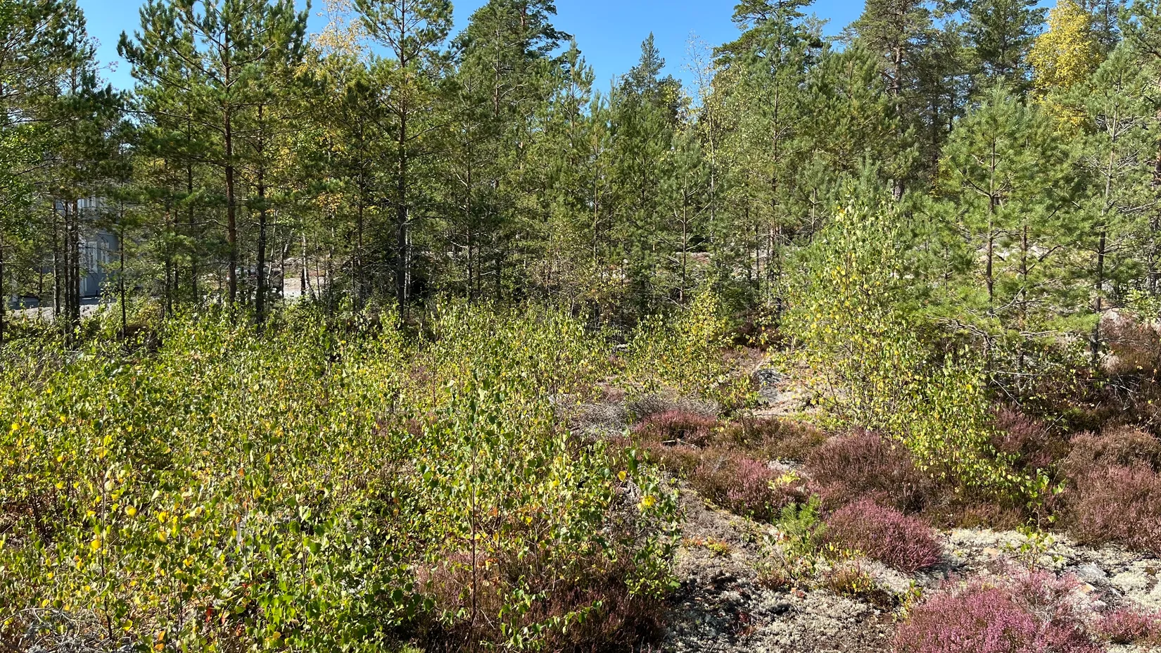 Tomt, Ösby 110, Brottby Ösby, Vallentuna