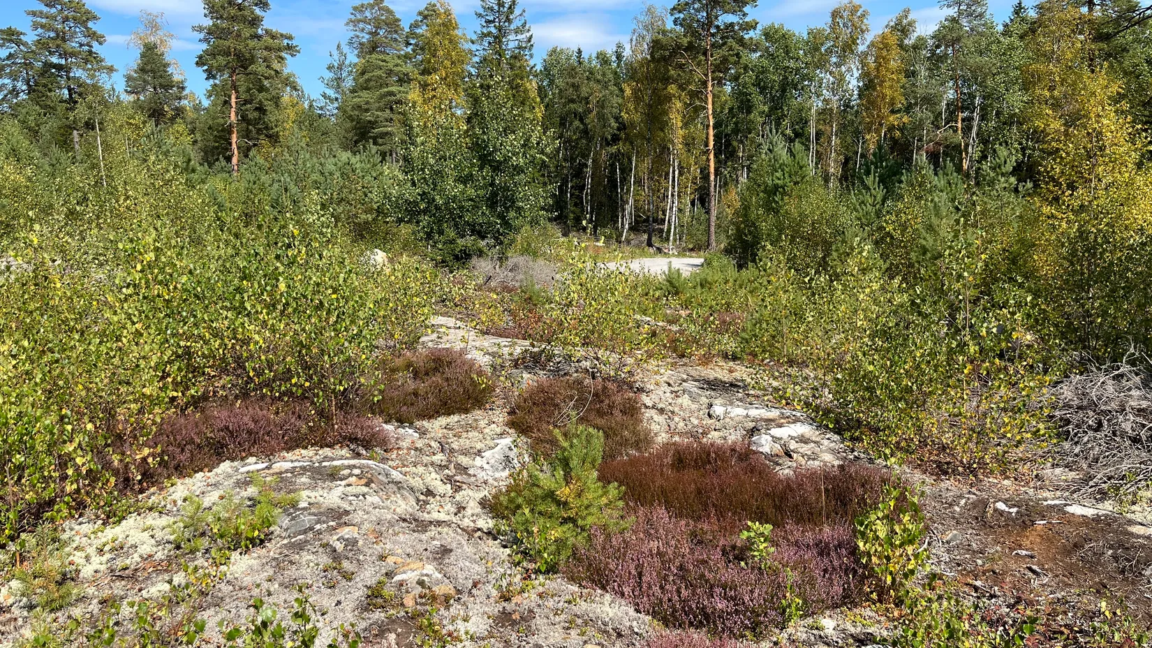 Tomt, Ösby 110, Brottby Ösby, Vallentuna