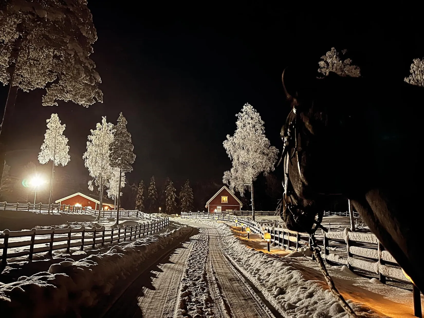 Gård/Skog, Julmyra 337, Heby