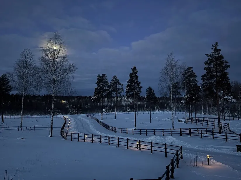 Gård/Skog, Julmyra 337, Heby