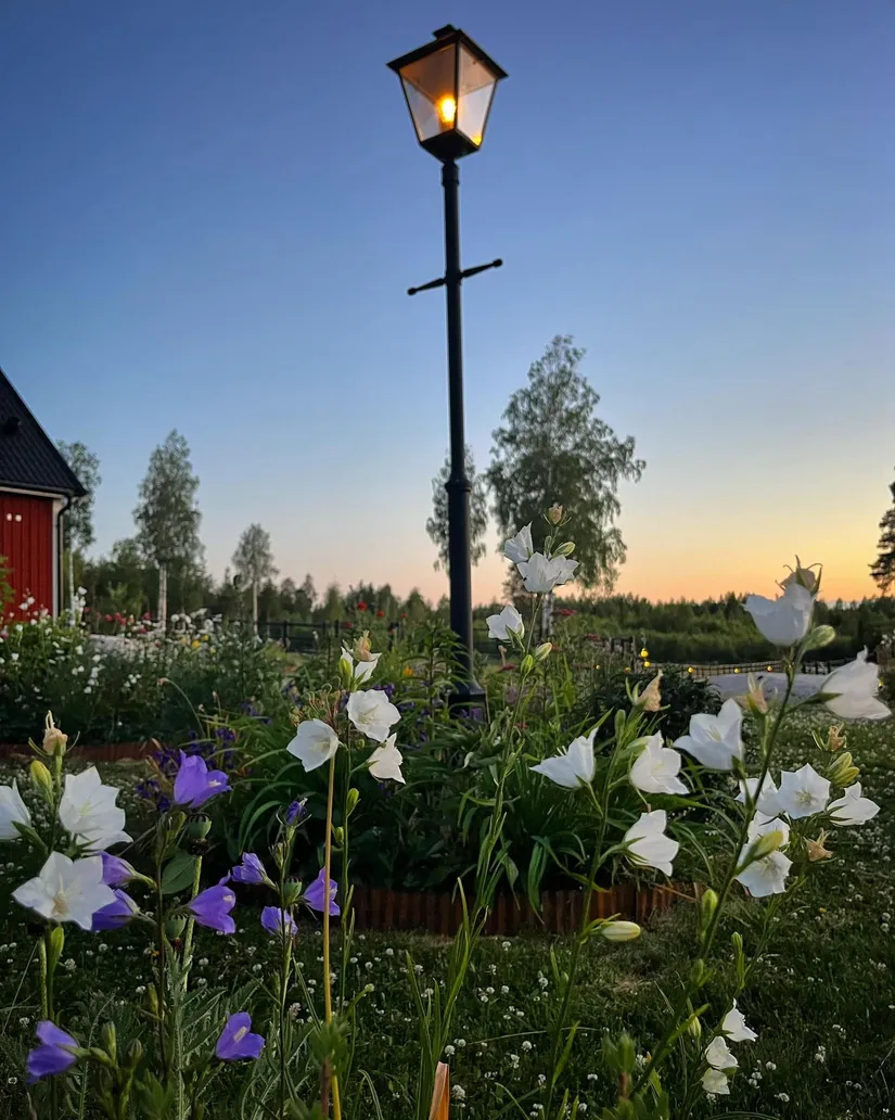 Gård/Skog, Julmyra 337, Heby