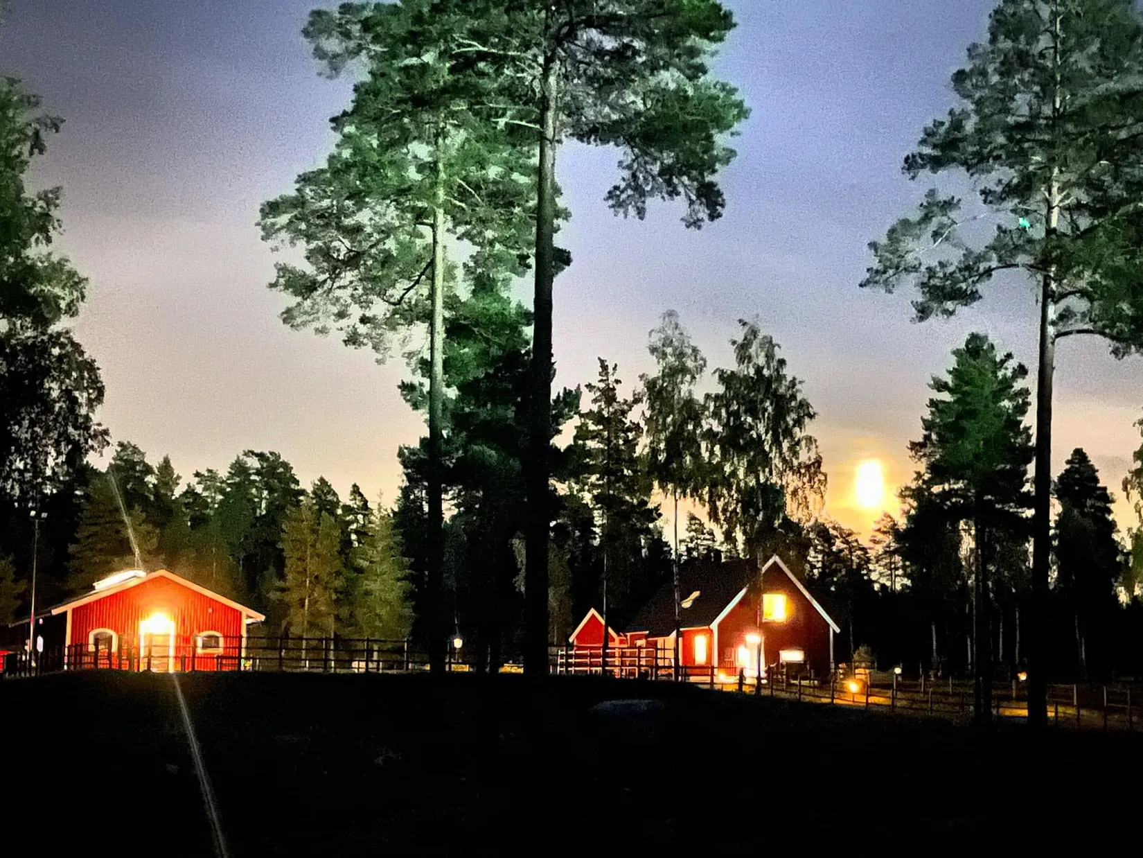 Gård/Skog, Julmyra 337, Heby
