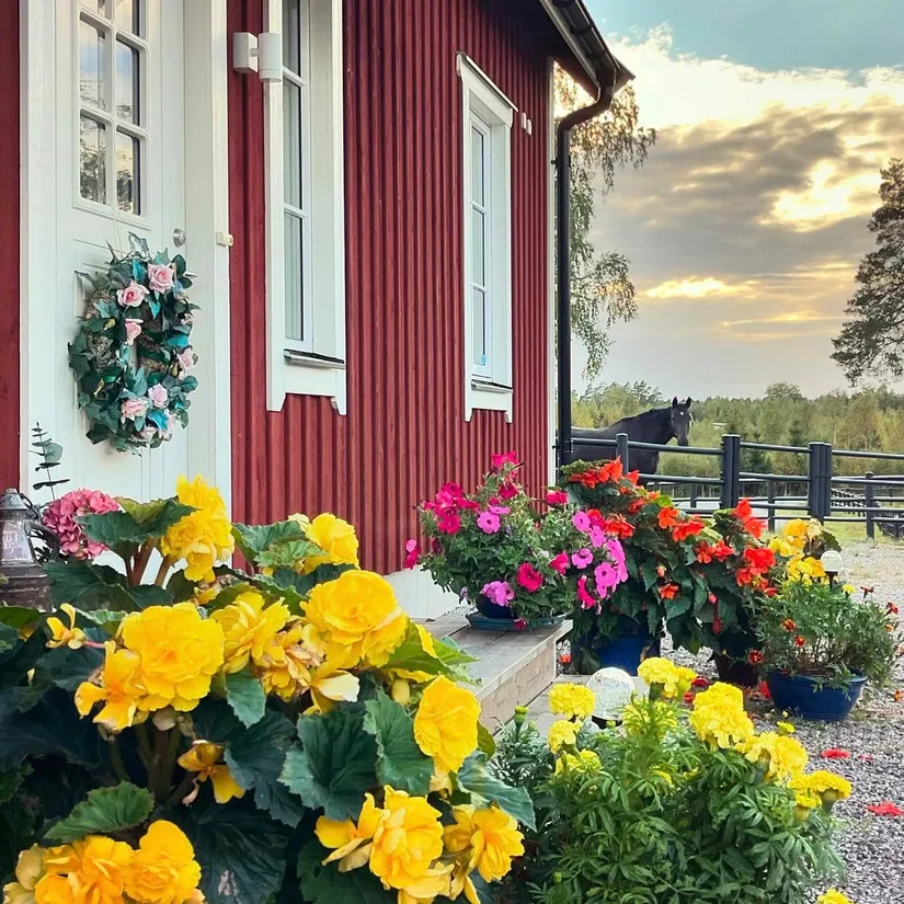 Gård/Skog, Julmyra 337, Heby