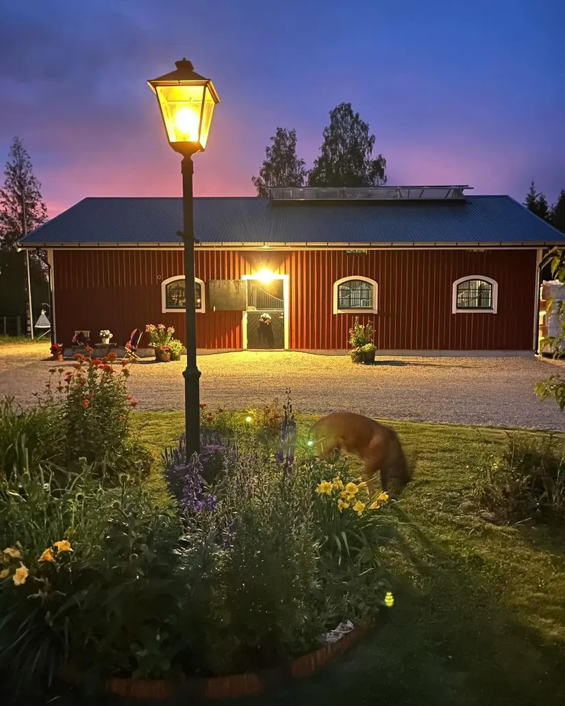 Gård/Skog, Julmyra 337, Heby