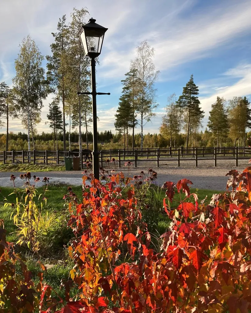 Gård/Skog, Julmyra 337, Heby