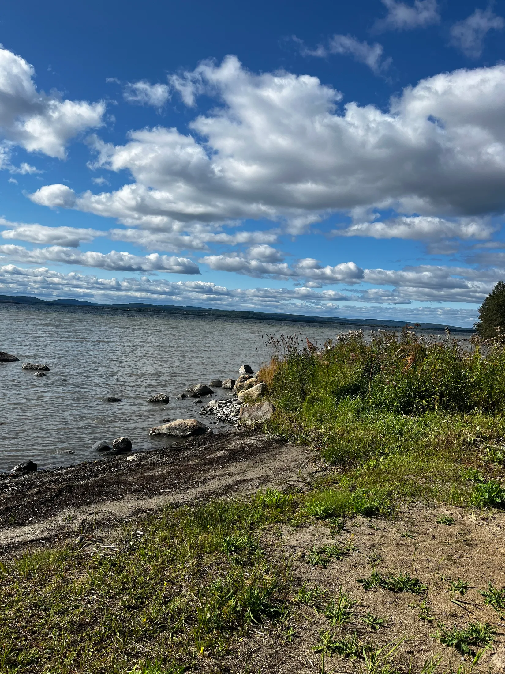 Gård/Skog, TIMRÅ SKÄGGSTA 1:2, Timrå