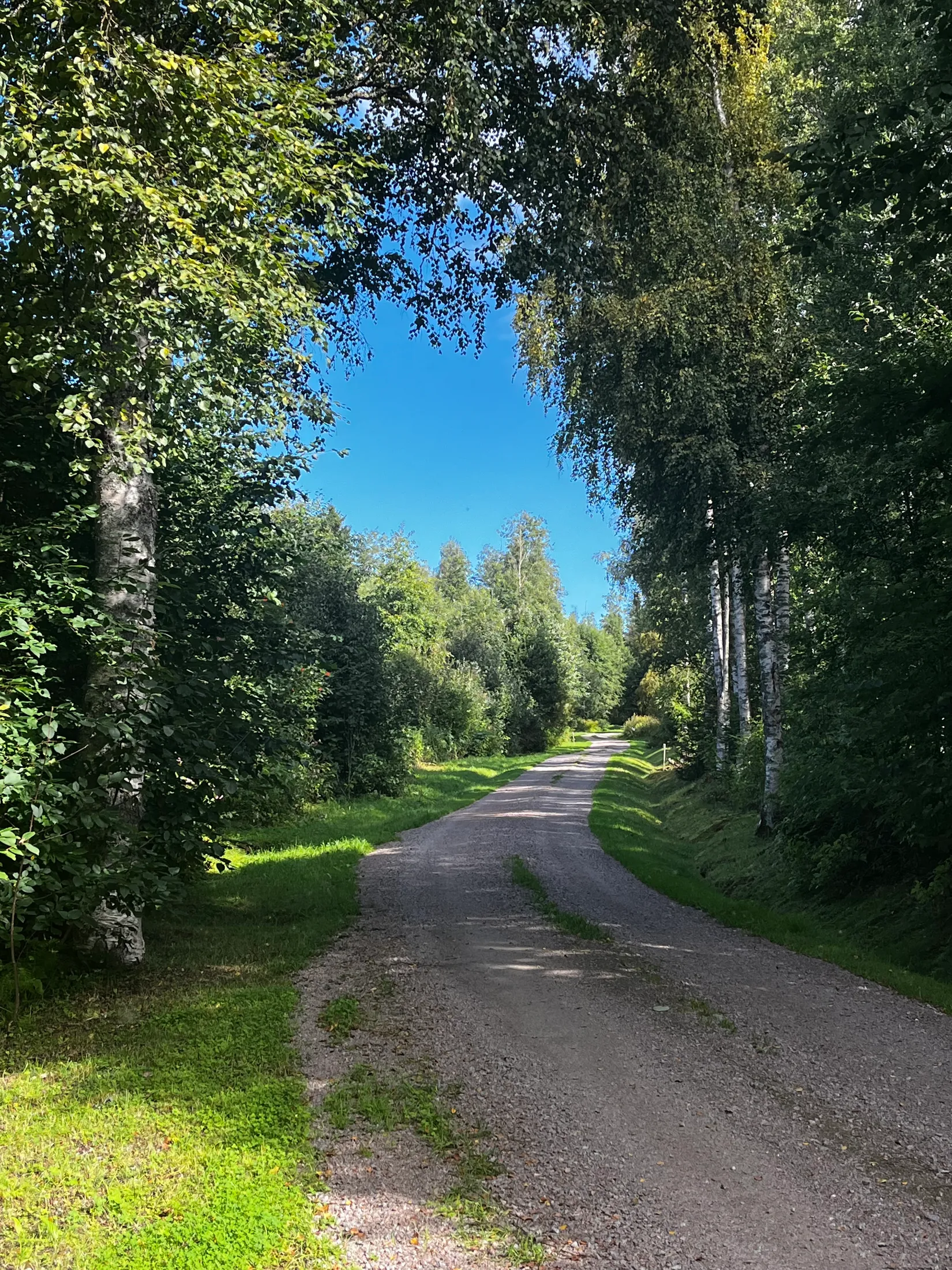 Gård/Skog, TIMRÅ SKÄGGSTA 1:2, Timrå