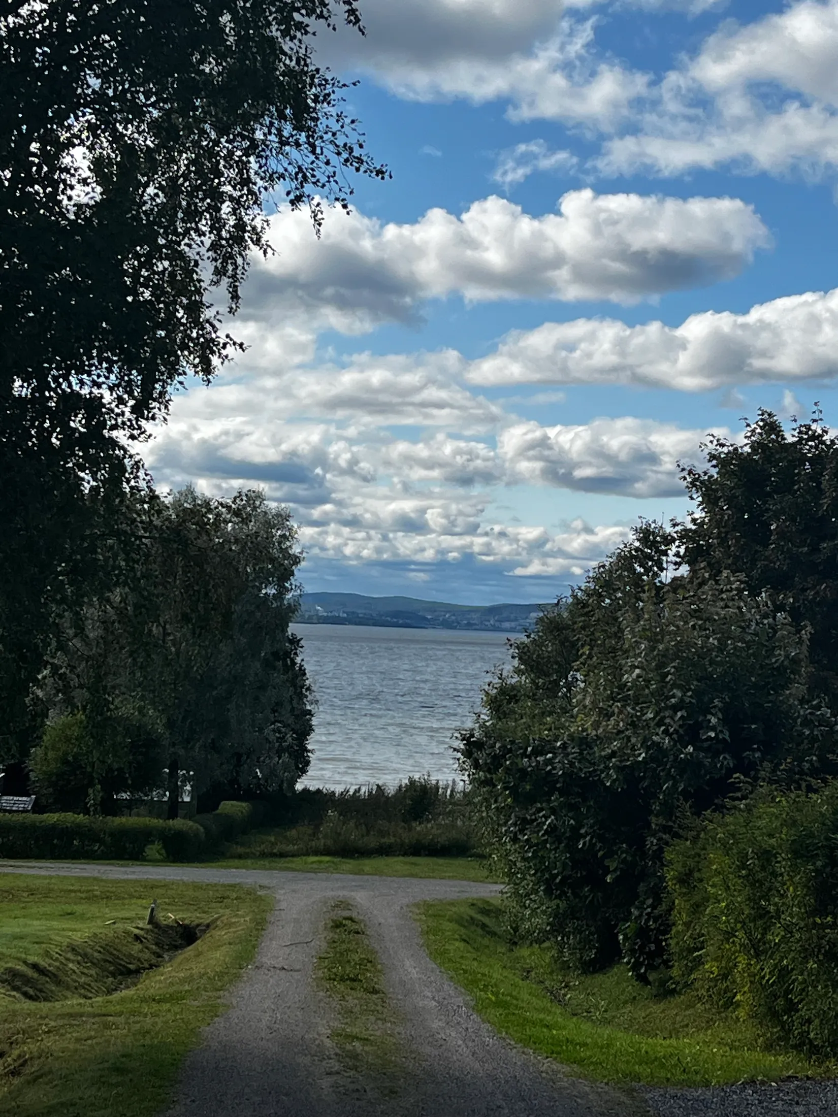 Gård/Skog, TIMRÅ SKÄGGSTA 1:2, Timrå