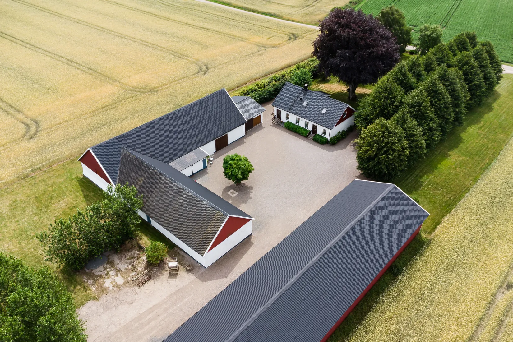 Gård/Skog, Västerstad 7132, Söderskog, Hörby