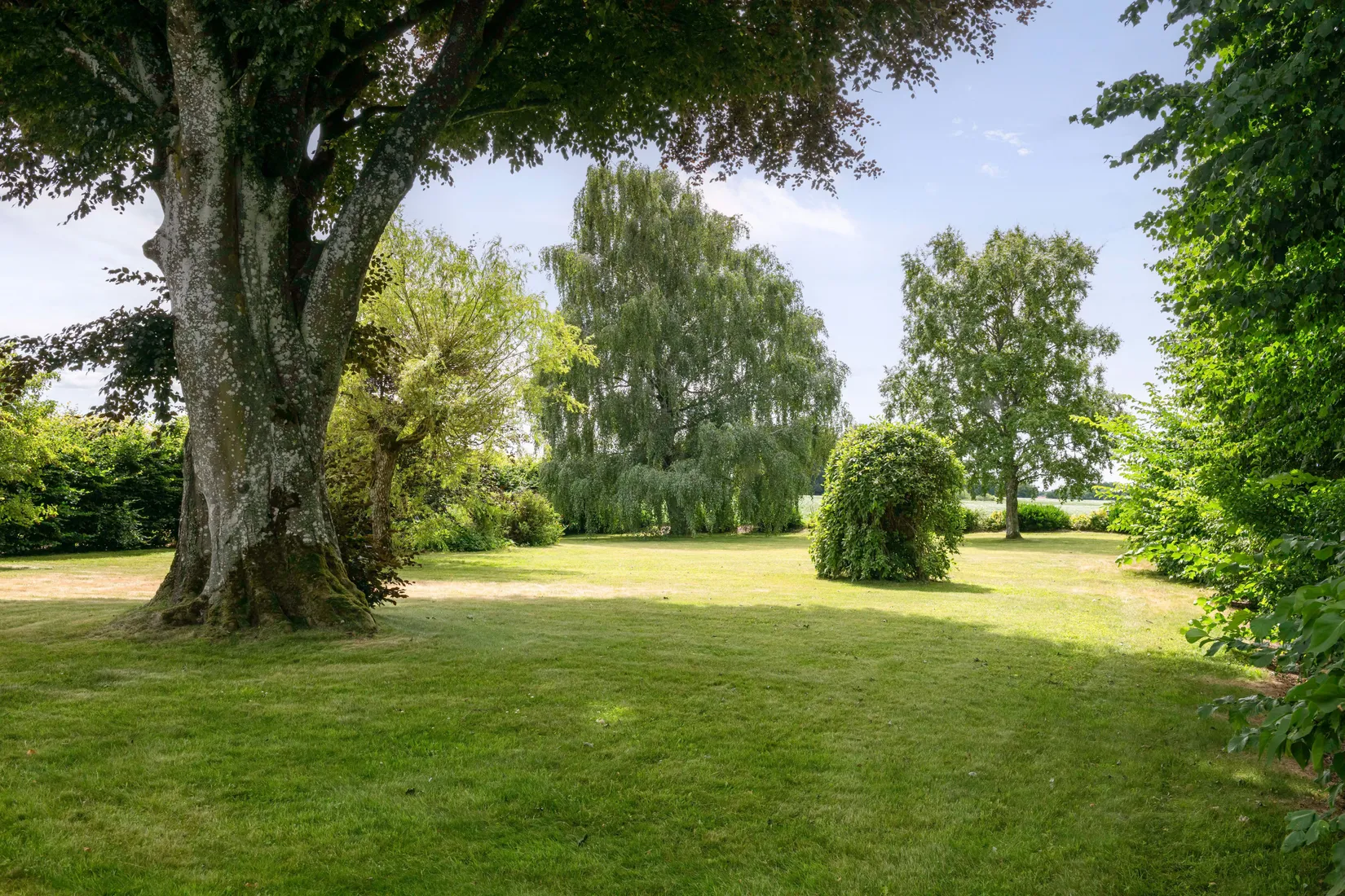 Gård/Skog, Västerstad 7132, Söderskog, Hörby