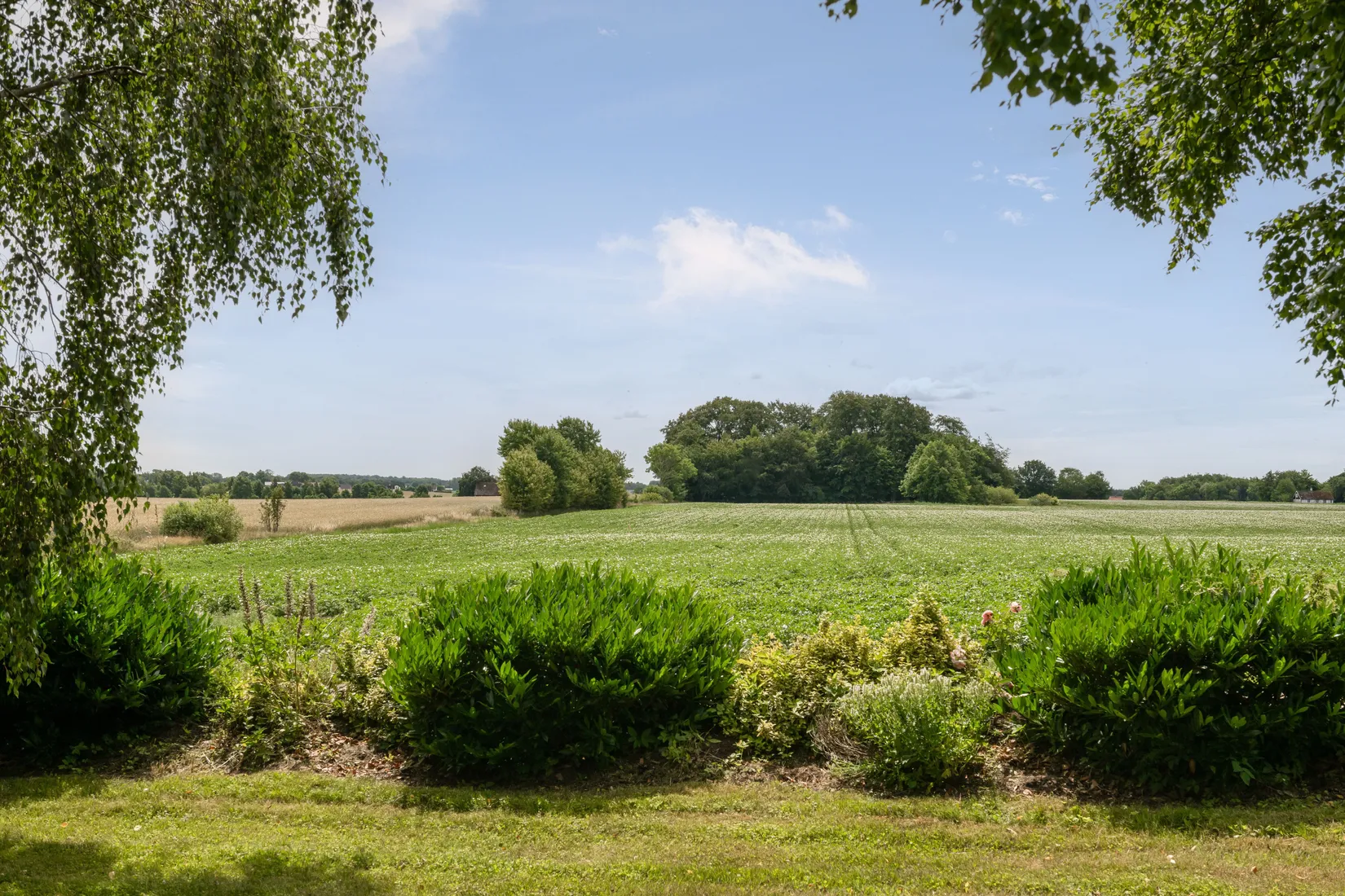 Gård/Skog, Västerstad 7132, Söderskog, Hörby