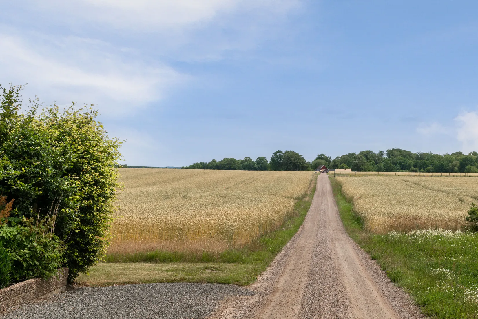 Gård/Skog, Västerstad 7132, Söderskog, Hörby