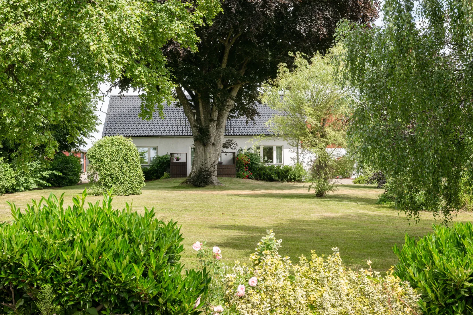 Gård/Skog, Västerstad 7132, Söderskog, Hörby