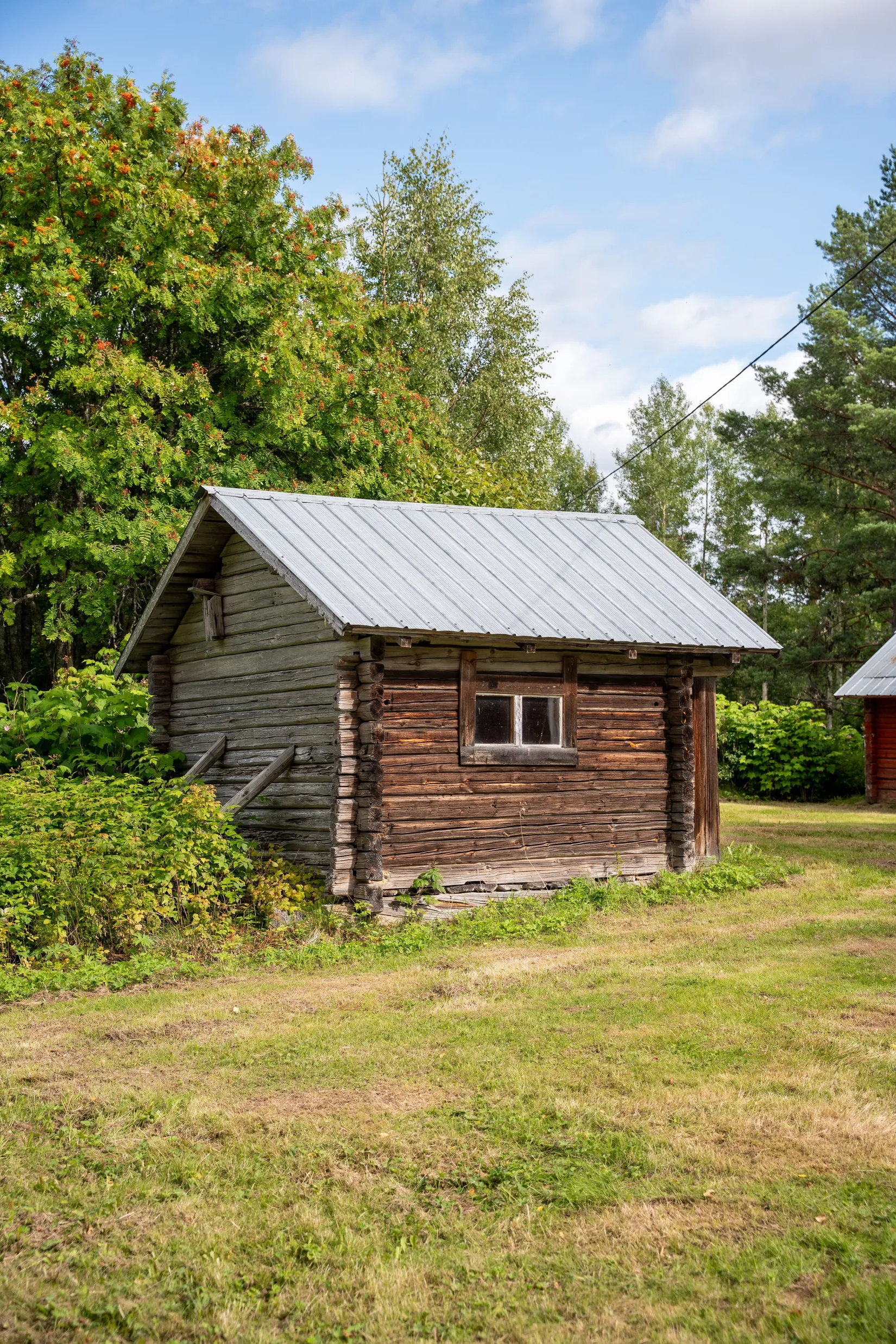 Gård/Skog, Gåstjärnsberget142, Sollefteå