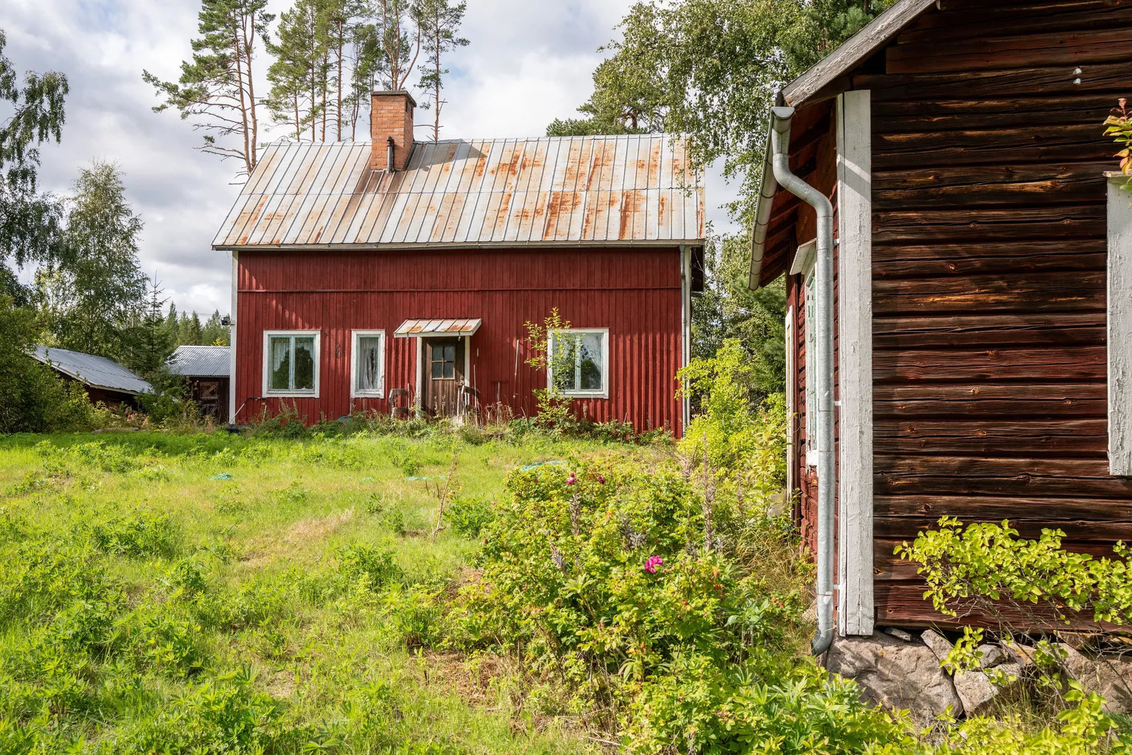 Gård/Skog, Gåstjärnsberget142, Sollefteå