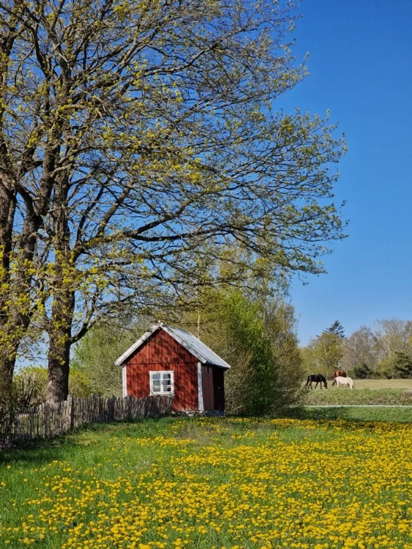 Villa, Holmavägen 94, Furulund, Sjöbo