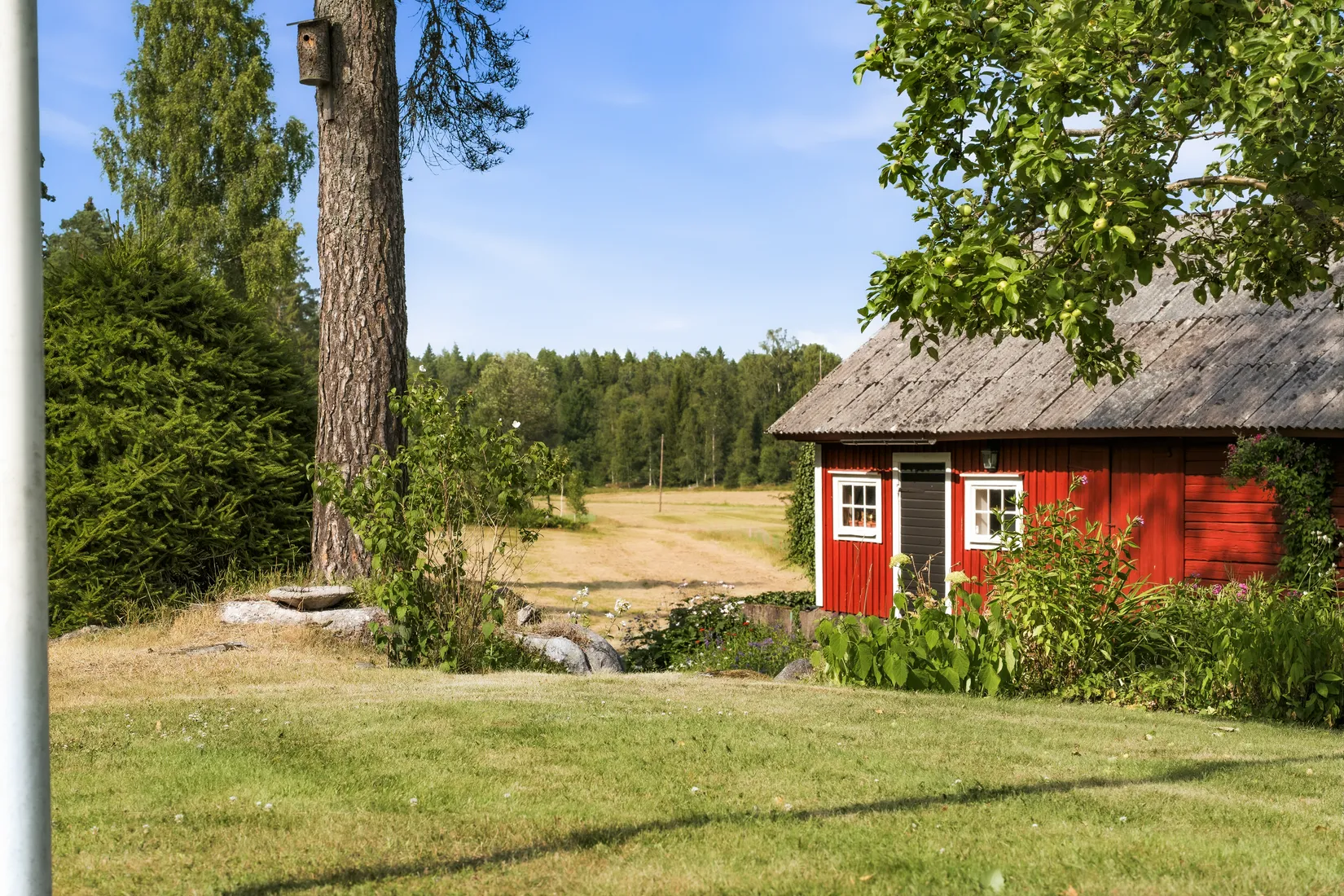 Gård/Skog, Björntorp Bråten 1, Lantligt, Nyköping